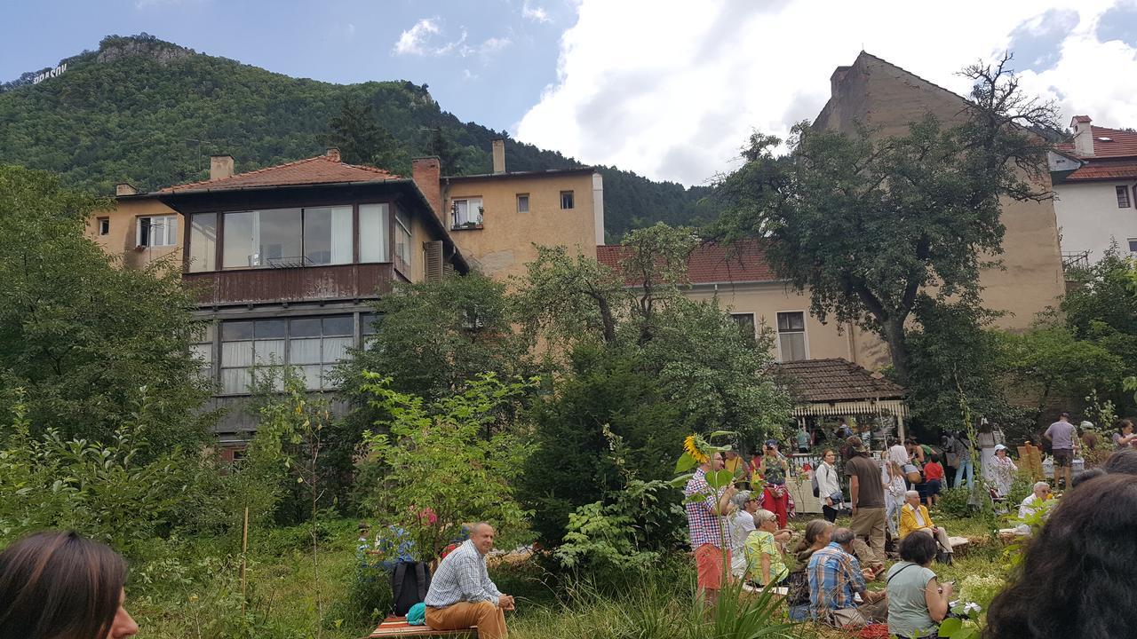 Mountain Tale Vandrarhem Braşov Exteriör bild