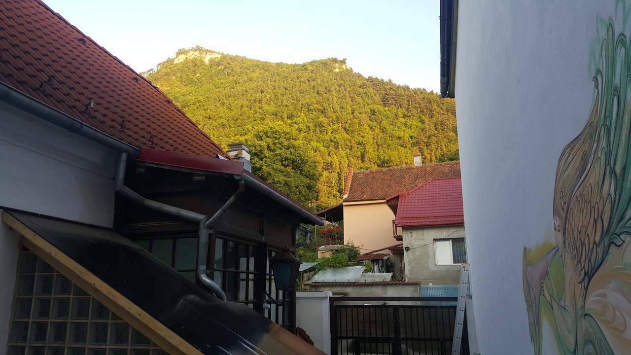 Mountain Tale Vandrarhem Braşov Exteriör bild