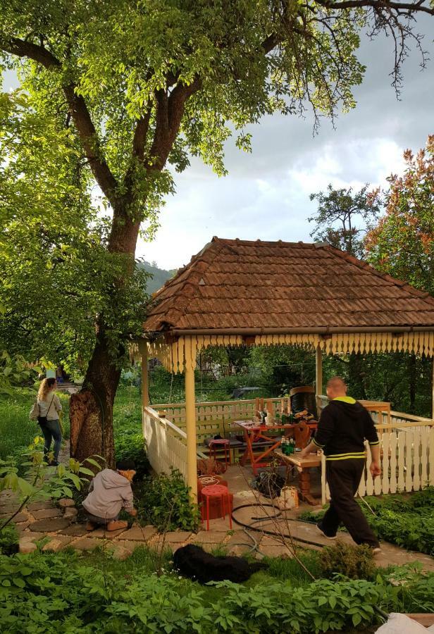 Mountain Tale Vandrarhem Braşov Exteriör bild