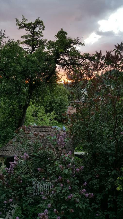 Mountain Tale Vandrarhem Braşov Exteriör bild